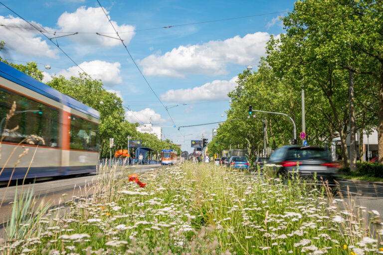 So viel Natur wie möglich in der Stadt