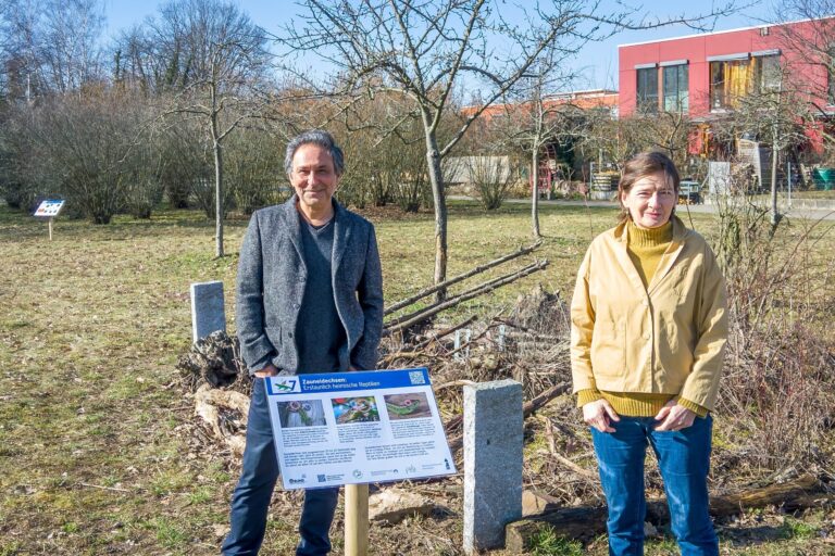 Großes Kompliment an den BUND für den Wildbienen- und Eidechsenlehrpfad in Kranichstein