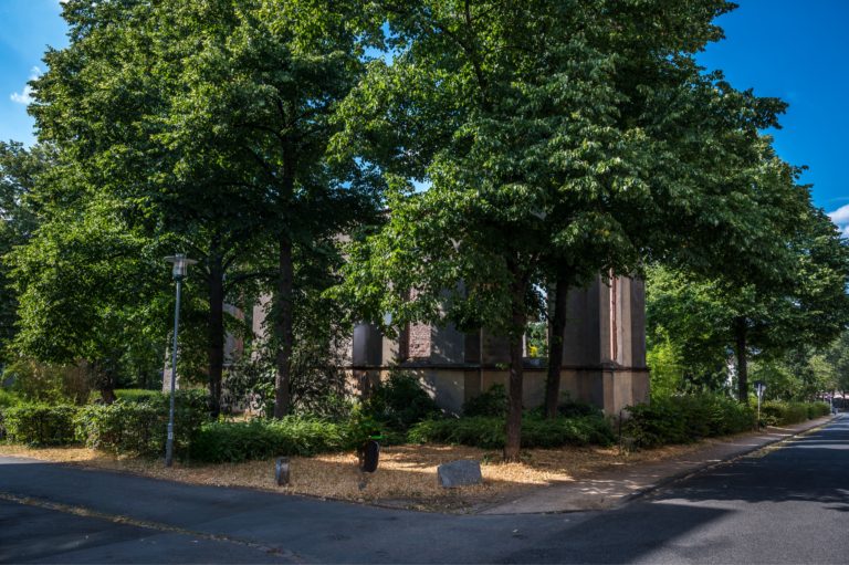 Mehr Grün für Kapellplatz- und Woogsviertel – Stadt bietet kostenlose Beratung und finanzielle Zuschüsse. 