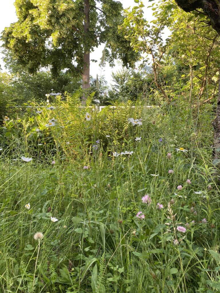 Biodiversität statt Flächenversiegelung